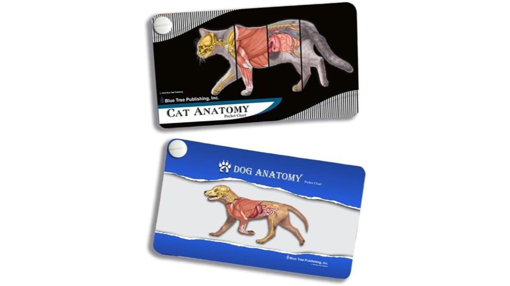 dog and cat anatomy charts