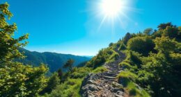 agent to iso progression