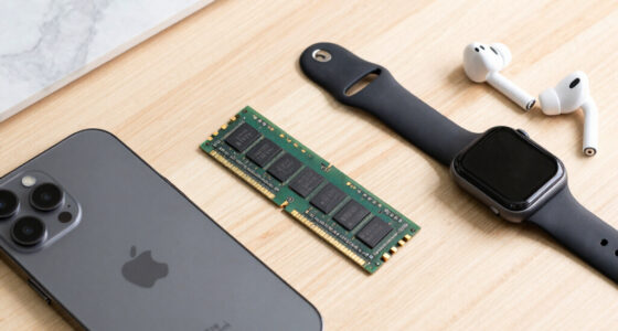 Apple Is Reaching for Chinese Memory. Europe Doesn’t Even Have That Option.